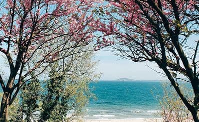 Best Time to Visit