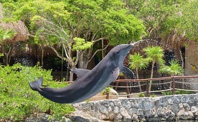 Xel-Há Park (Tulum)