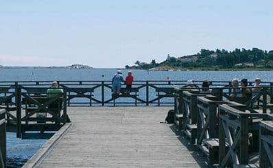 Gottskär Village