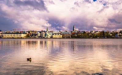 Tjörnin — The Lake