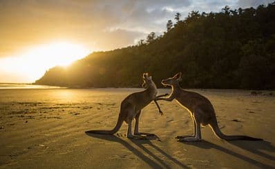 Cape Hillsborough National Park