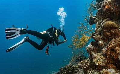 Diving