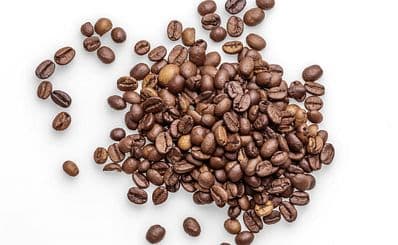 LiLo Coffee Roasters