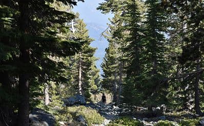 Mount Tallac Trail
