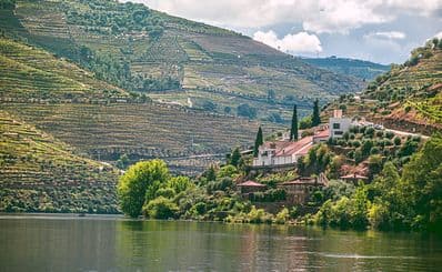 Douro Valley Tour with Wine Tasting & Lunch