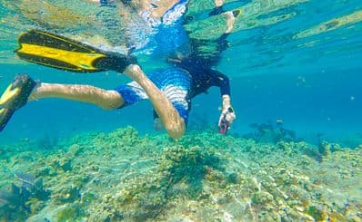 Sea Experience