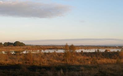 Lough Boora