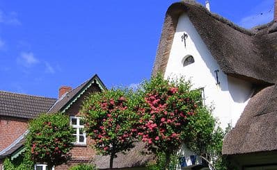 Föhr Island