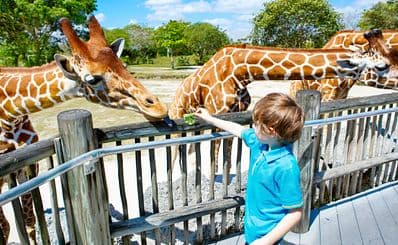 Dresden Zoo