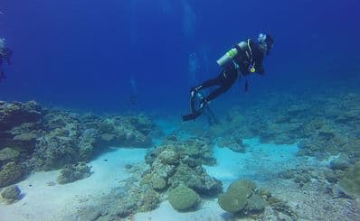 Diving