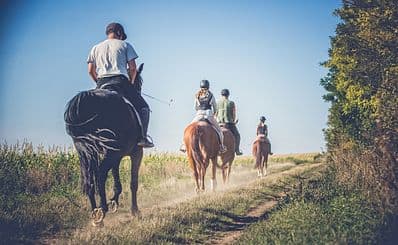 Dutch Creek Trails