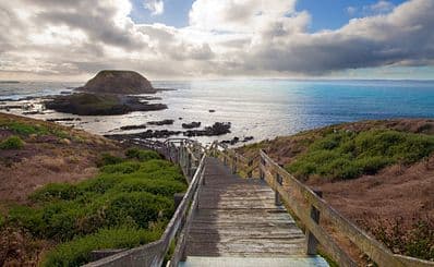 Phillip Island