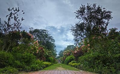 Penang Botanical Gardens