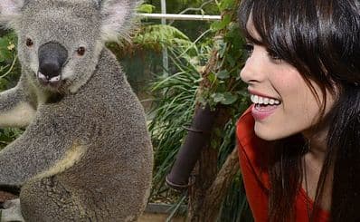 ワイルドライフ・シドニーズー / WILD LIFE Sydney Zoo
