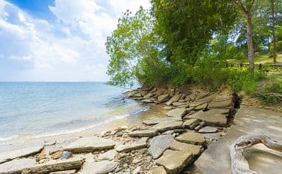 Fossil Shell Beach