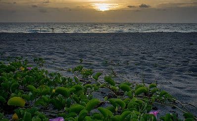 Intracoastal Park