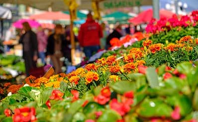 Rijeka Central Market