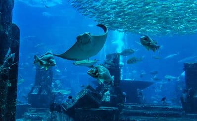 SeaWorld Abu Dhabi