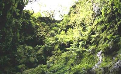 Algar Do Carvão
