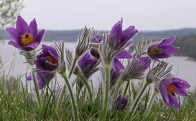 Nature Reserves