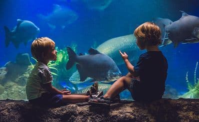 Oregon Coast Aquarium