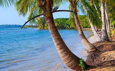 Starfish Beach