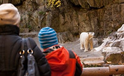 Bronx Zoo