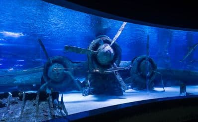 Antalya Aquarium