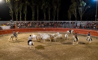 ARÈNES GEORGES COGET