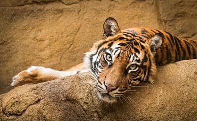 Philadelphia Zoo