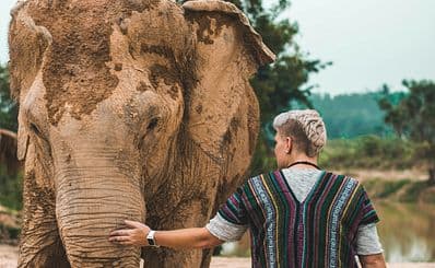 Elephant Sanctuary