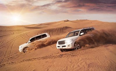Desert Safari