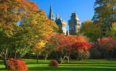 Bute Park