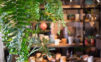 Alpine Shop of Rangeley