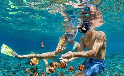 Snorkelling in Waitabu Marine Park