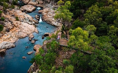 Alligator Creek