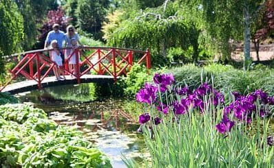 메이필드 가든(Mayfield Garden)