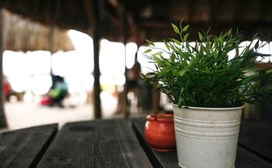 Martha's Tables (Soufriere)