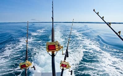 Punta Cana Fishing