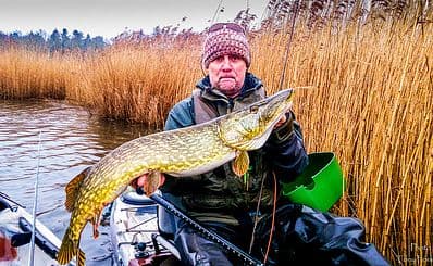 PikeStrike Sweden