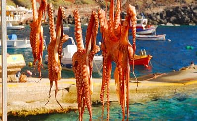 Ammoudi Fish Tavern — Oia