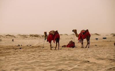 Khor Al Adaid (Inland Sea)