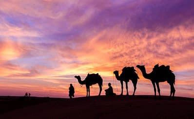 Abu Dhabi Desert Safari