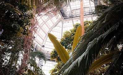 Botanische tuin van de Verenigde Staten