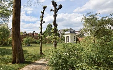 Silent Garden Archiepiscopal Palace