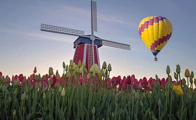 Big Sky Balloon Rentals