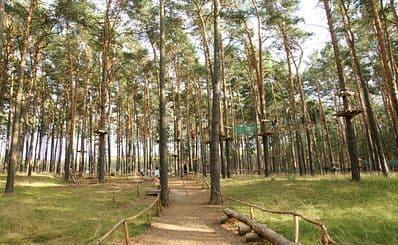 High Ropes Adventure