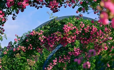 Best Time to Visit