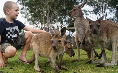Hunter Valley Zoo