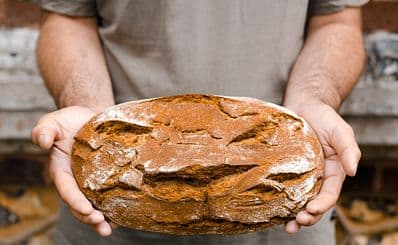 Terra Breads